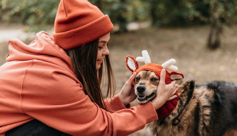 Animal Shelters Delaware